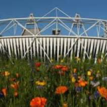 Olympics to Damage UK Tourism 3